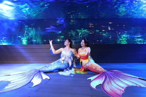 Pertunjukan putri duyung di tangki Sky Penguin