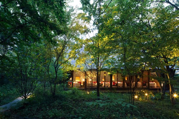 Bleston Court Yukawatan, nestled in the forest