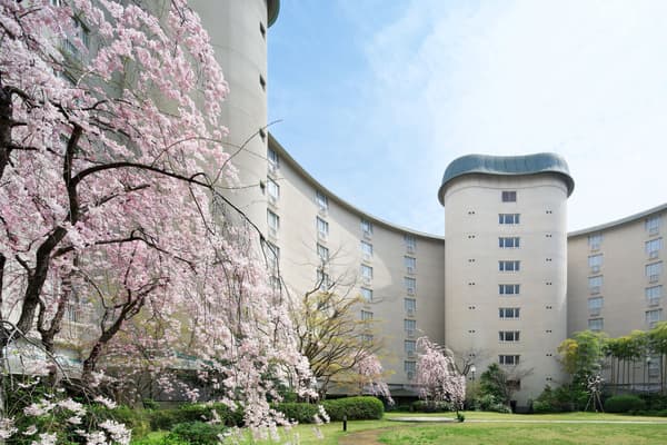 The hotel's courtyard, beautiful with nature through the seasons