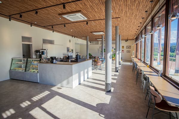 展示座位区的室内咖啡馆景观