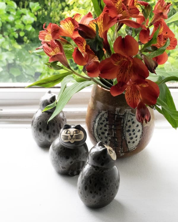 문라이트 미아 측면 모습