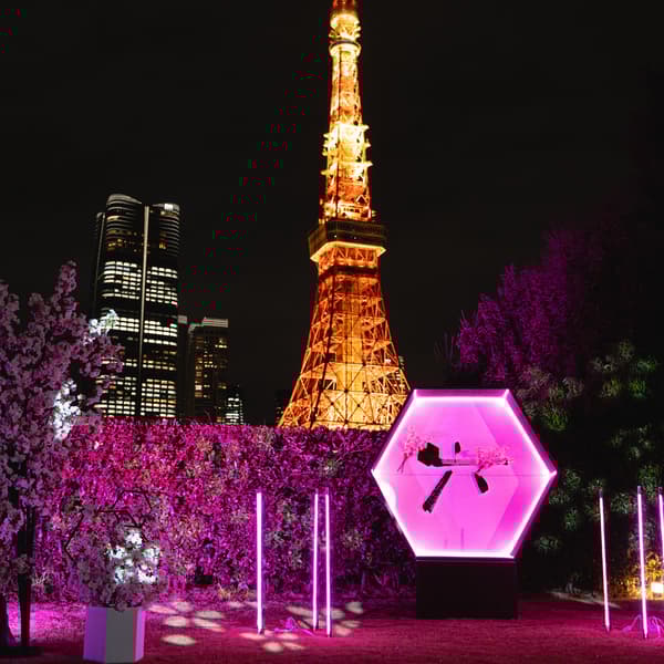 Photo spot with ROKU installation