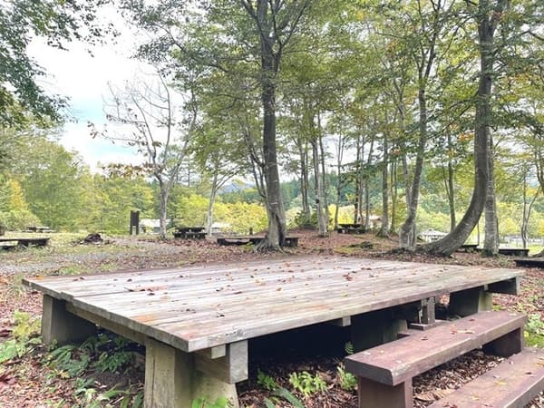 New Deck Site in the forest area – elevated platform protects gear from dirt and cold