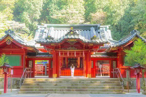 箱根神社石阶和参道