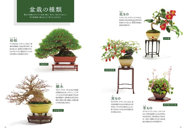 第1章讲解了基本知识，从欣赏要点到园艺和盆栽的区别