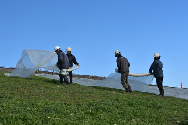 正在进行的除布工作