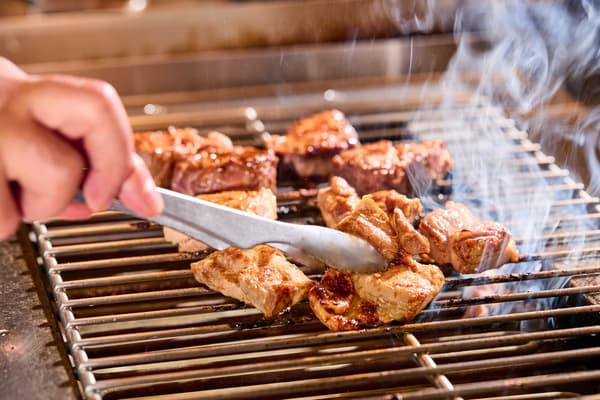 Satay (Lamb and Flavorful Chicken)