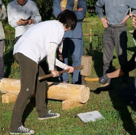 Building benches from split logs for visitors to use