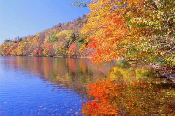 Taking in the autumn foliage up close from the water