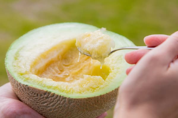 Ripe musk melon
