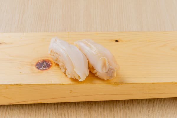 海螺