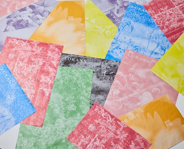 全部8款包装纸设计