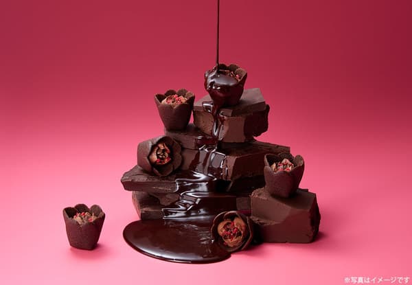 Tulip Rose Chocolat Full Course