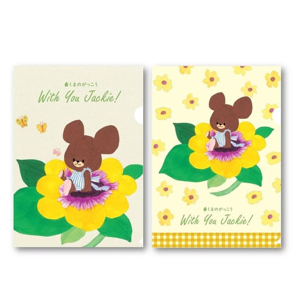 A4透明文件夹，每个¥330