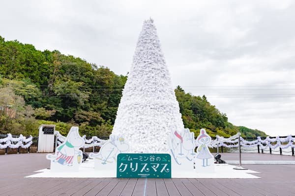 White Terrace of Snow and Light