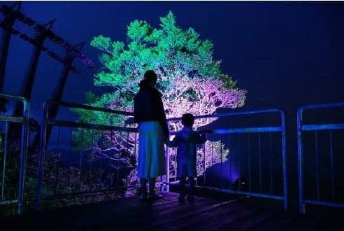 灯光璀璨的“星空露台”