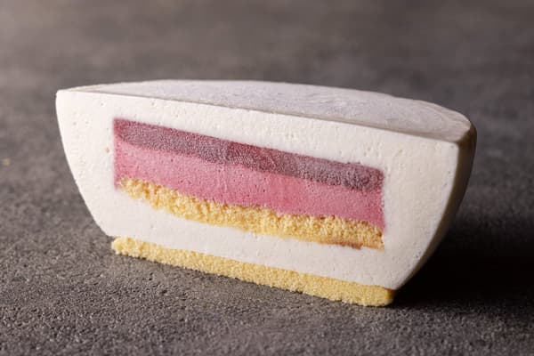 Noel Snow Dome, cross-section