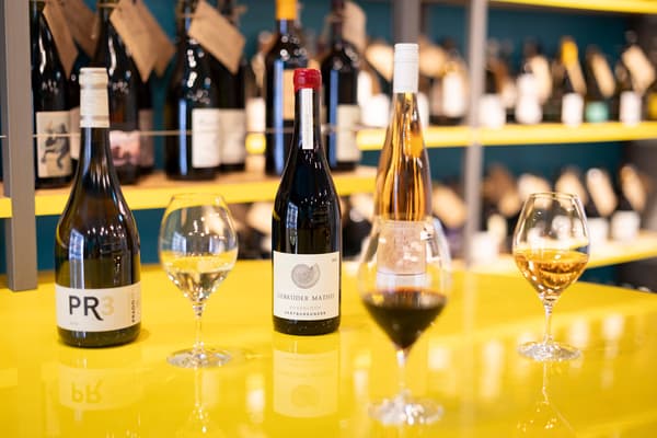 每日精选起泡酒、白葡萄酒和红葡萄酒