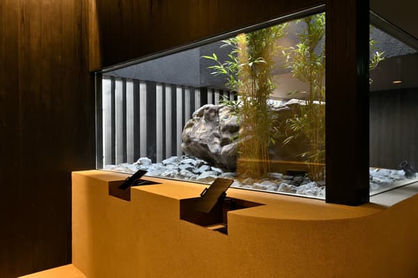 Contactless check-in