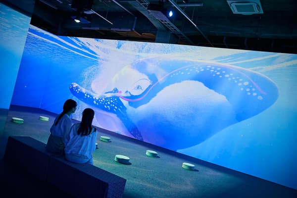 沉浸式浮世绘艺术展