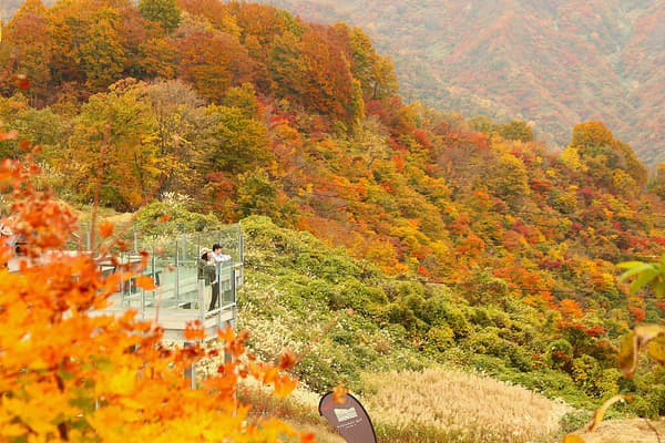 더 베란다 이시우치 마루야마 테라스를 둘러싼 가을 단풍