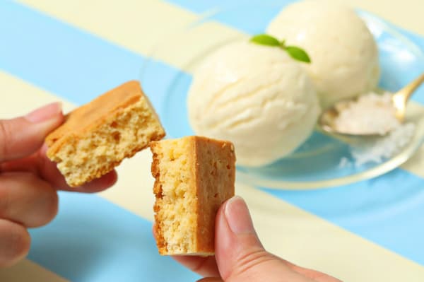 Salt Vanilla Brownie