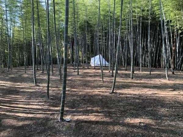 BAMBOO BASE KATSUURA의 캠핑 사이트