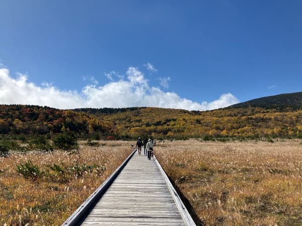 Una pasarela a través de los humedales de Jodo-daira