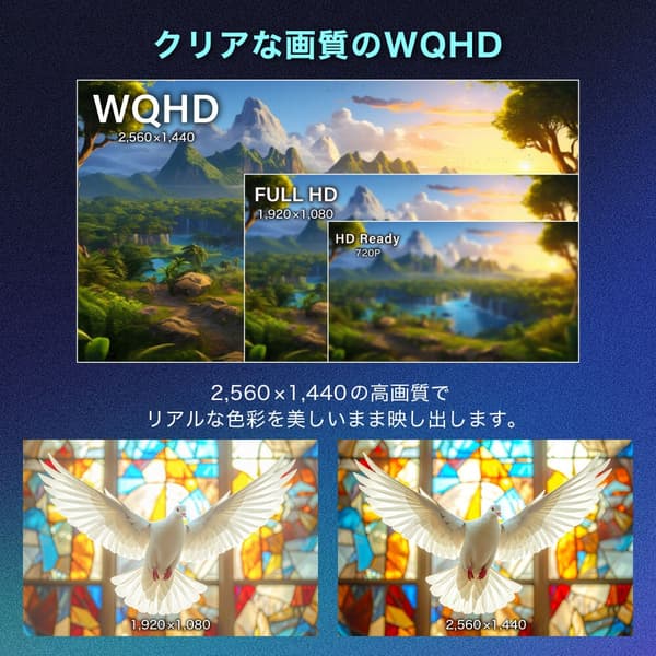 WQHD 해상도 디스플레이