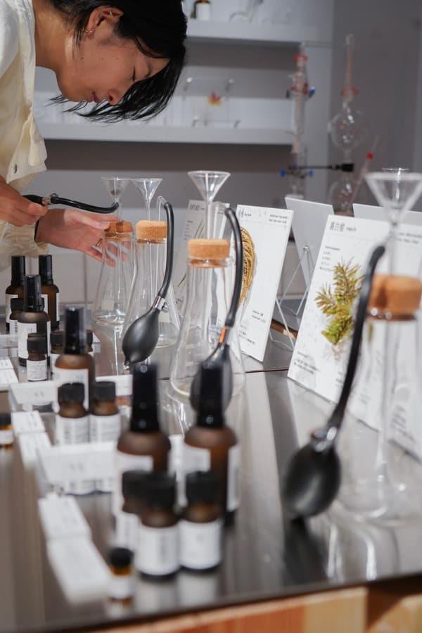 Experiencia de degustación de aromas forestales producida por yaso