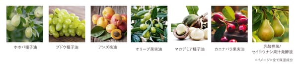 产品配方可视化