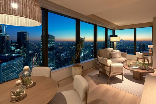 东京 1 Homes 住宅内部