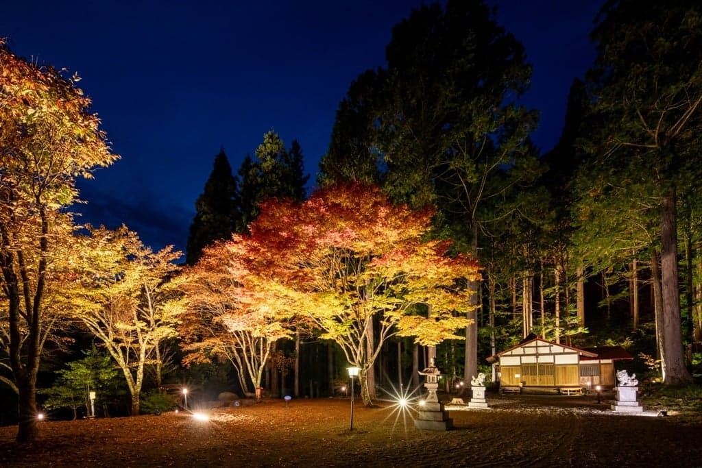 Experience a Different World at 1,000m Elevation - Okuhida Onsen's Autumn Foliage Illumination Begins