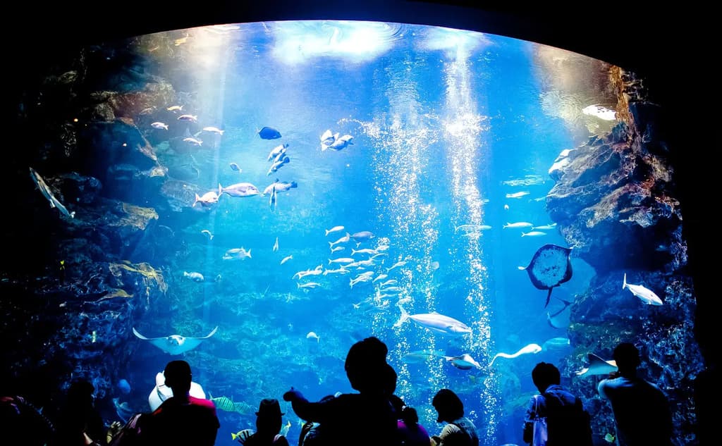 Kyoto on a Rainy Day: 19 Recommended Indoor Facilities