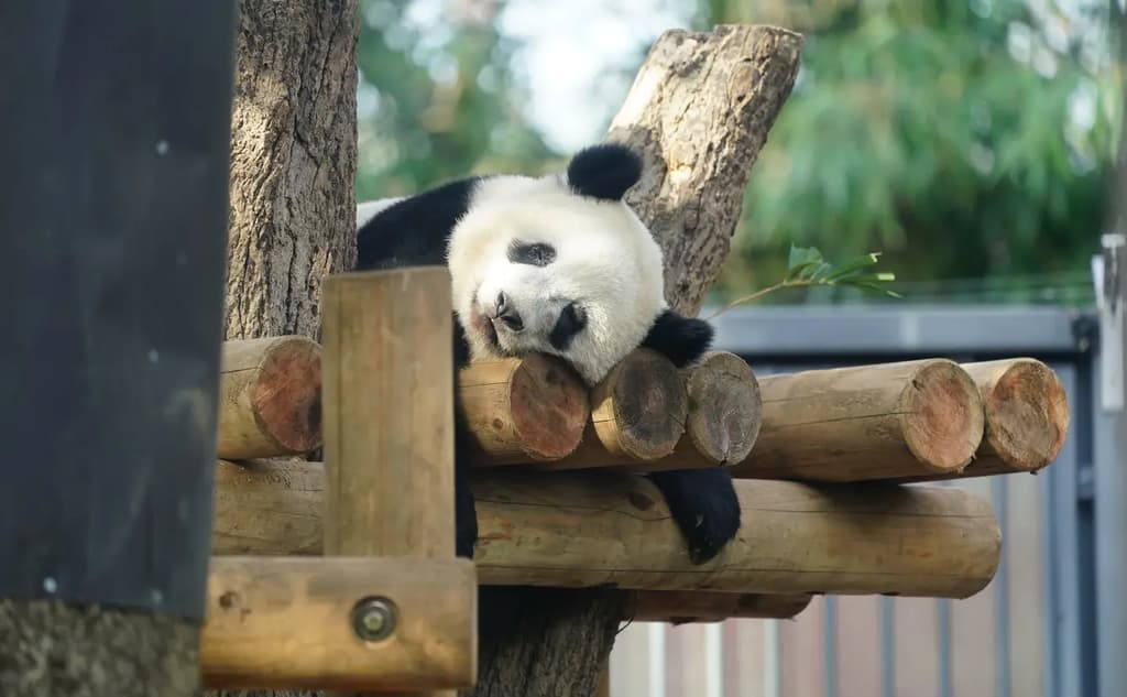 10 Best Zoos and Aquariums in Tokyo