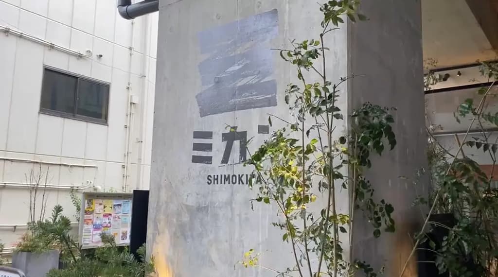 A Day in Shimokitazawa, Tokyo: Exploring the Trendy Spots, Daytime Drinking, Cafes, and Thrift Shopping!