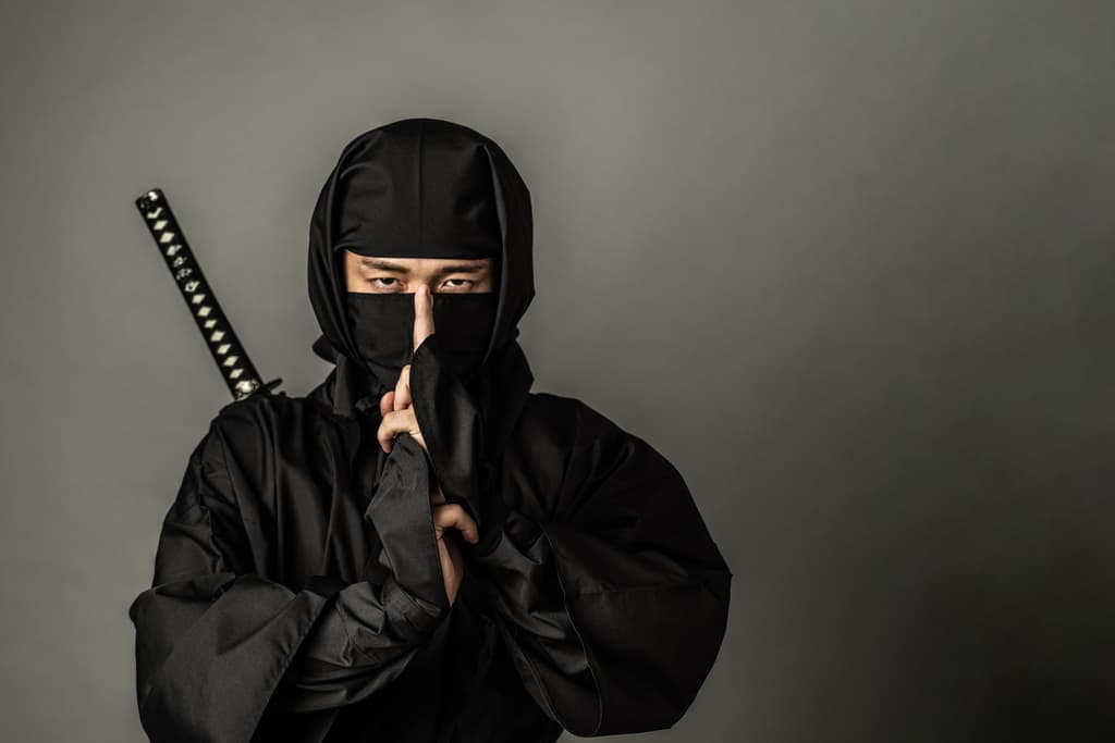 About “Ninja”
