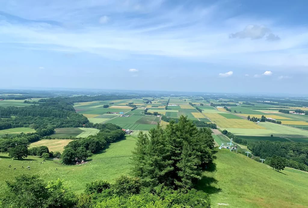 【北海道】在初夏享受十勝和帶廣的充實 1 晚 2 天之旅! 第3部分