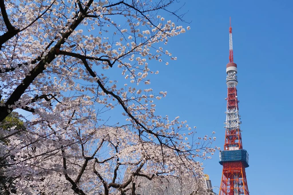 Recommended for sightseeing in Tokyo in March! Introducing events and scenery unique to this time of year!