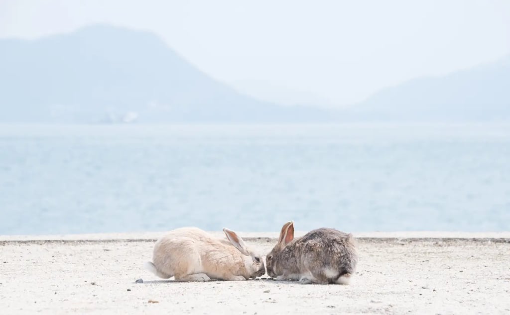 Top 8 Must-See Spots in Takehara & Okunoshima, Hiroshima: Discover “Little Kyoto” and “Rabbit Island”