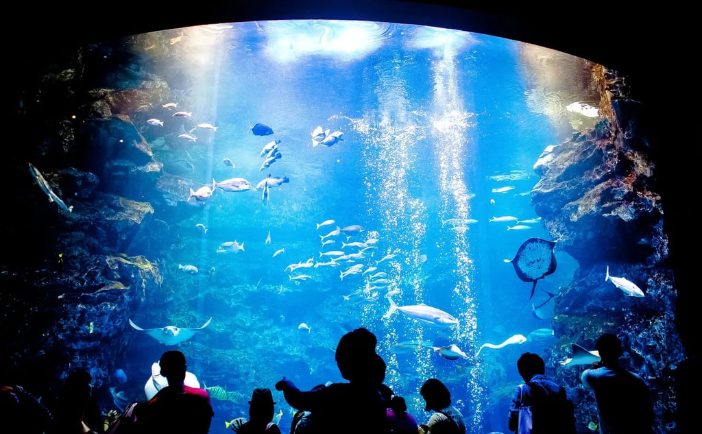 Kyoto on a Rainy Day: 19 Recommended Indoor Facilities
