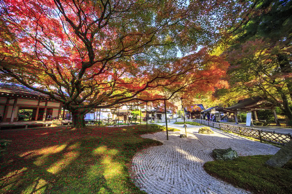 8 Best Things to do in Fukuoka in November