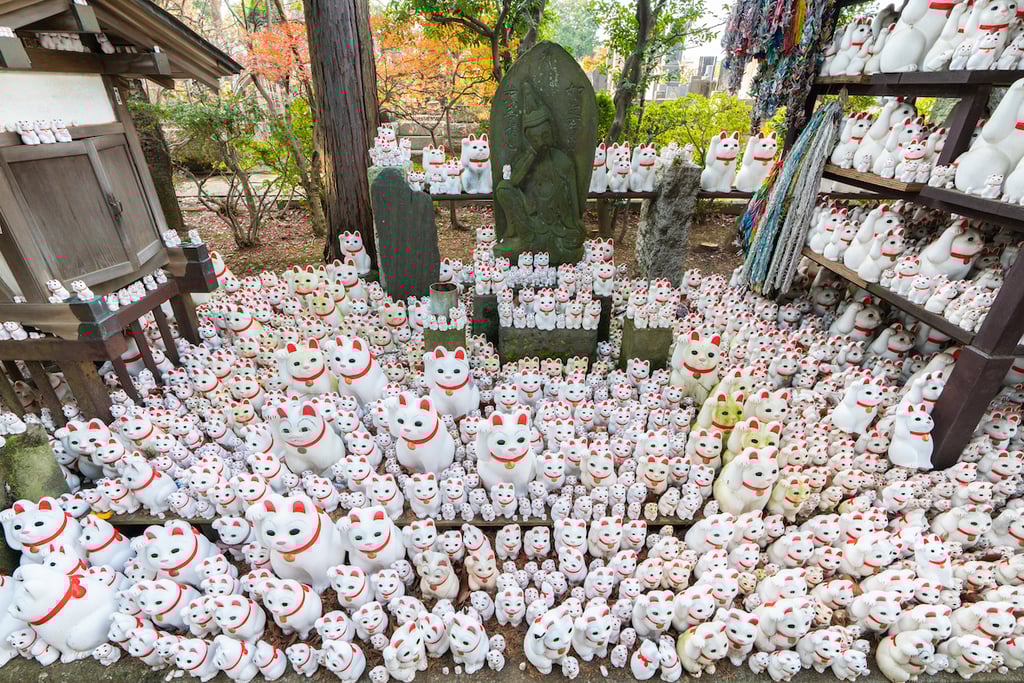 8 Unique Spots in Tokyo You Must Experience