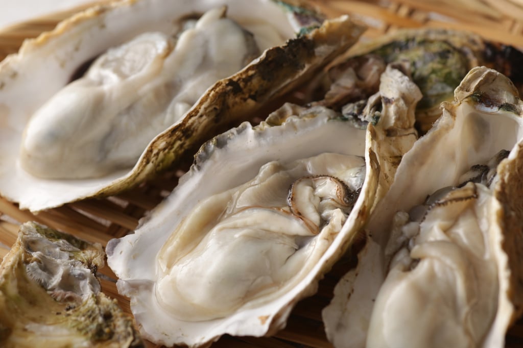 6 Best Things to Do in Hiroshima in February: Oyster Festival, Oyster Boat Restaurant, Popular Chocolate Shops