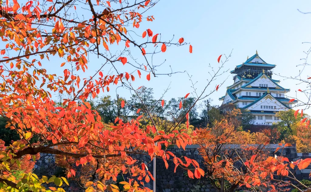 Things to Do in Osaka in November