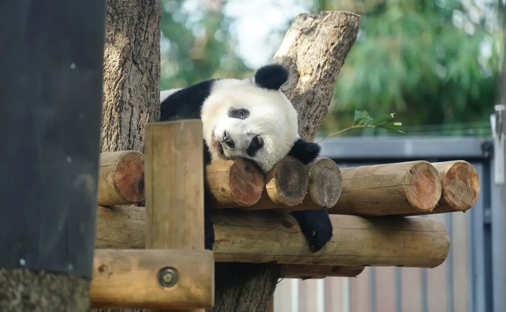 10 Best Zoos and Aquariums in Tokyo