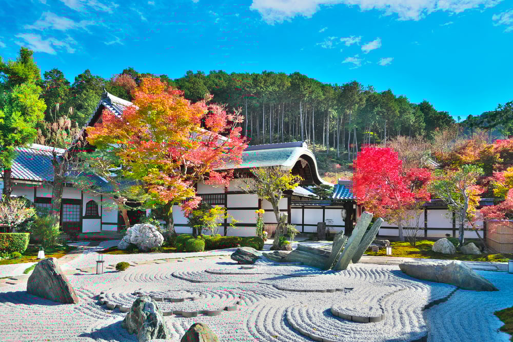 7 Best Things to Do in Kyoto in November