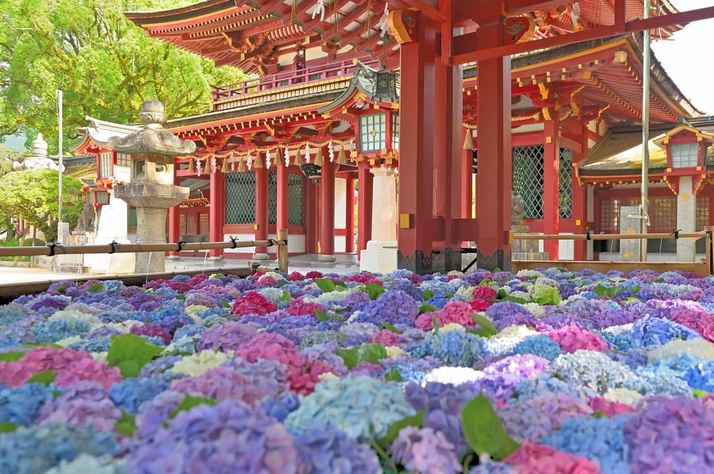 The 30 Best Places to Visit in Fukuoka: A Complete Guide to Fukuoka