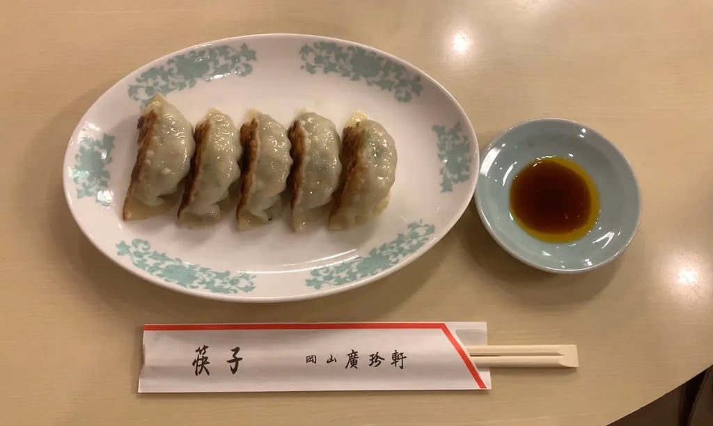 Izakaya Hopping in Okayama: At Omotecho shopping street Enjoy both Japanese and Chinese food