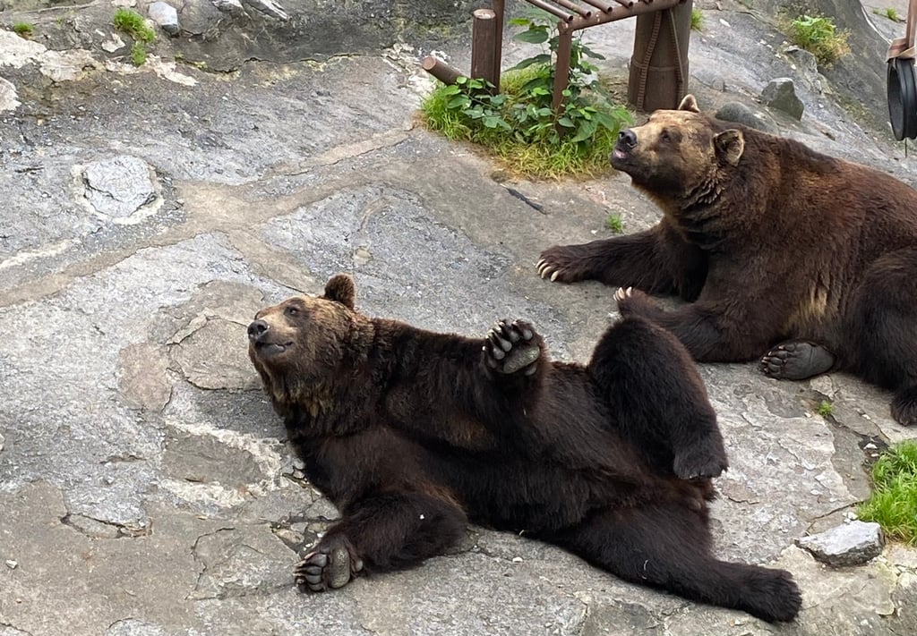 6 Cool Spots to Visit in Hokkaido (Sapporo / Biei / Furano / Noboribetsu)
